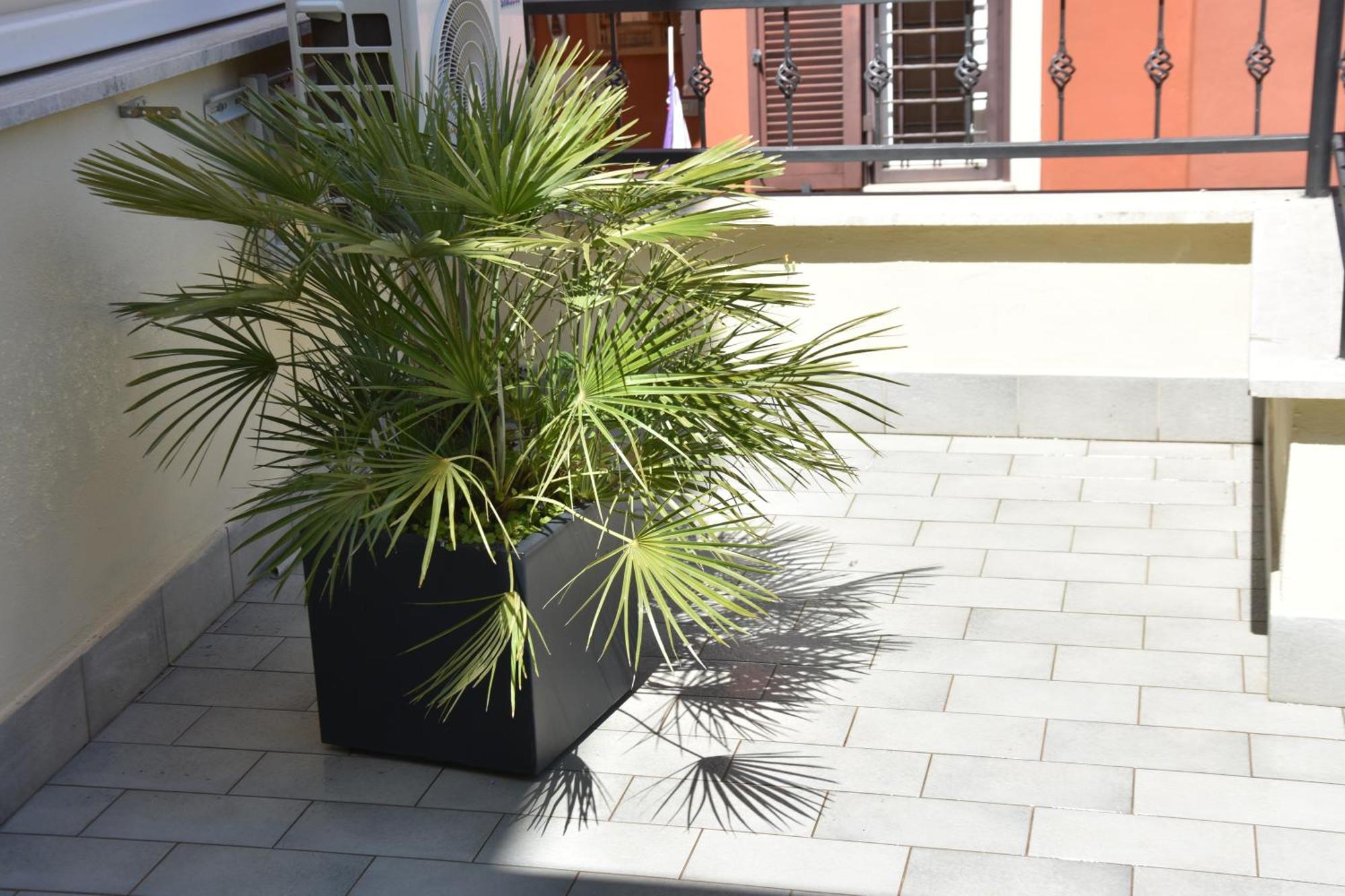 Diasof Apartments, Rome